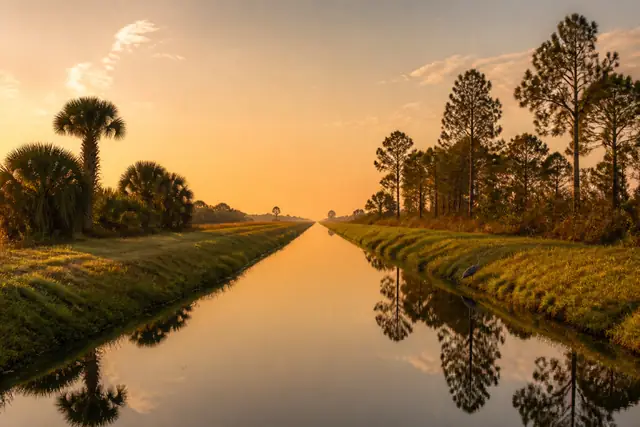 Quiet Lehigh Acres canal and pine horizon in warm evening light