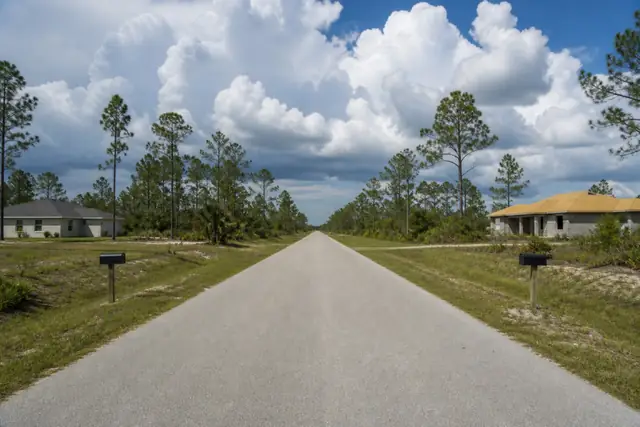 Straight Lehigh Acres street bordered by vacant pine and palmetto lots