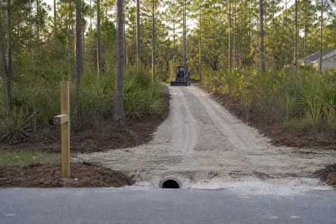 Straight access corridor opened through pine and palmetto toward a wooded Lehigh Acres homesite
