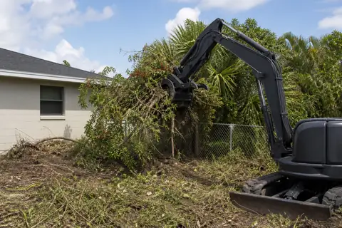 Dense Brazilian pepper thicket opened beside an old fence on a Southwest Florida parcel
