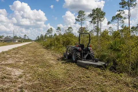 Freshly opened path through Southwest Florida brush with mature pine canopy retained