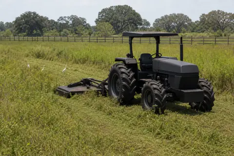 Reopened pasture edge with retained shade trees and mulched invasive growth in inland Southwest Florida